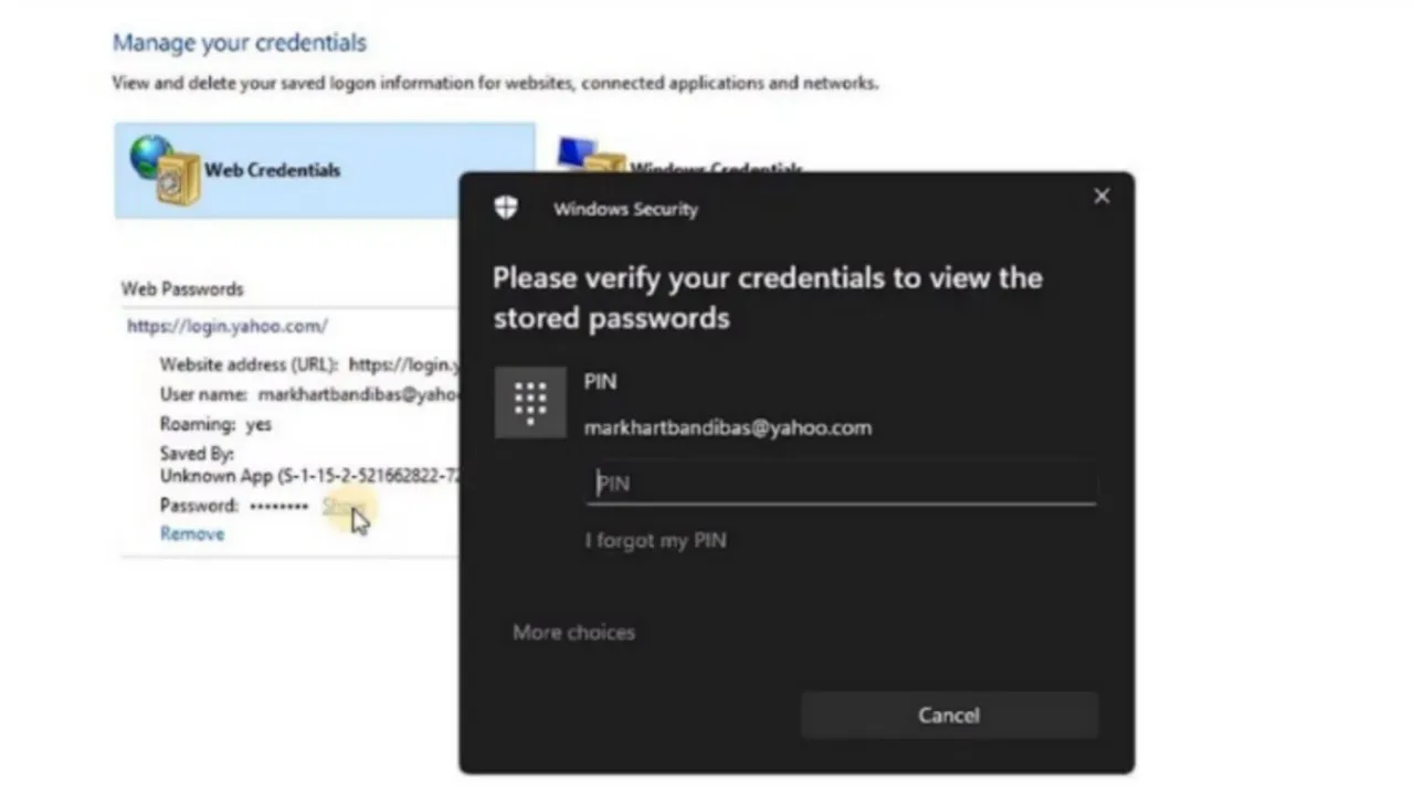 How to Access and Use Credential Manager on Windows 10 and Windows 11