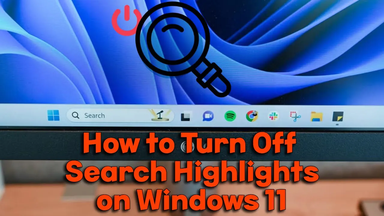 How to Turn Off Search Highlights on Windows 11